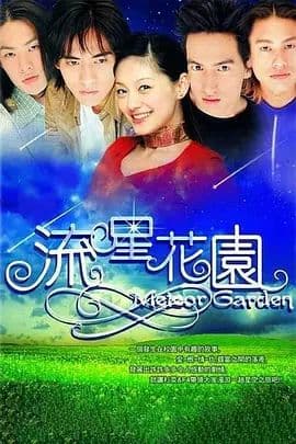流星花园(2001)海报
