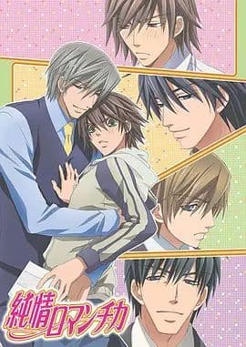 纯情罗曼史海报