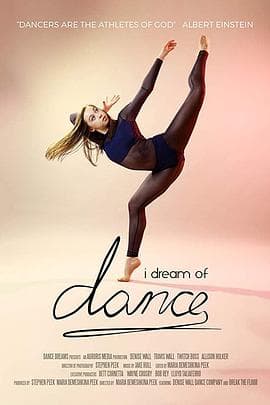 舞之梦海报