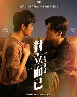 对立而已海报